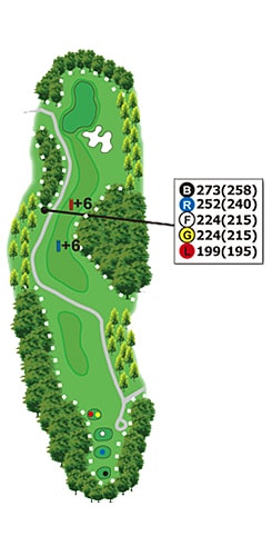 伊賀コース HOLE 06 / Par 4